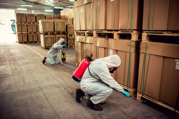 Best Pest Control Near Me  in Plattsburgh, NY