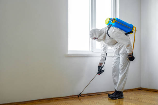 Best Pest Removal Services  in Plattsburgh, NY