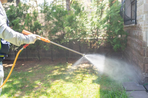 Spider Control Near Me in Plattsburgh, NY